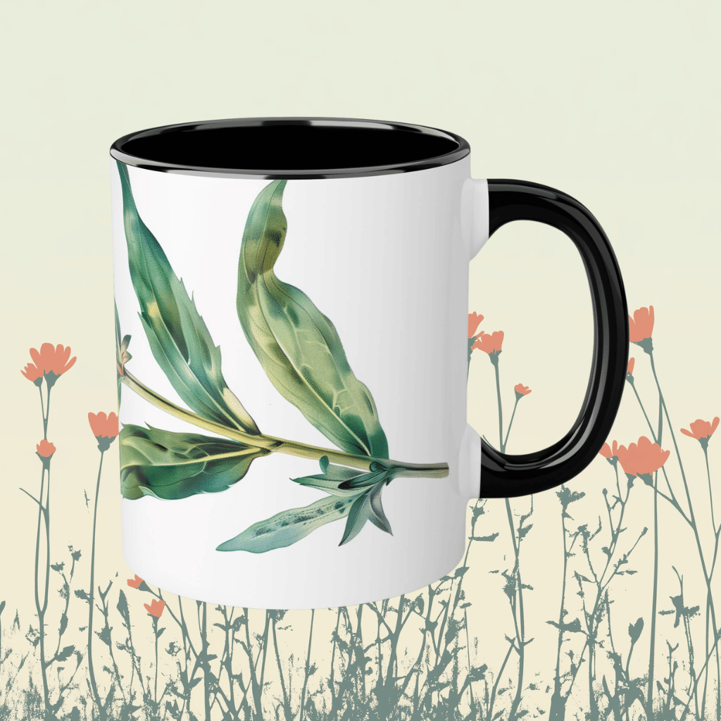 Indian Paintbrush Mug, Black (11oz)
